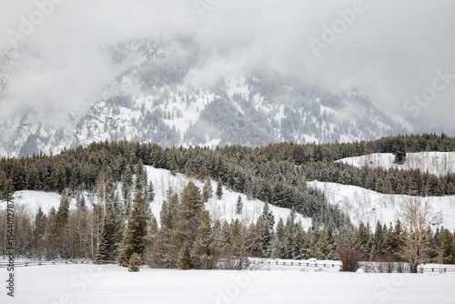 USA, Wyoming, Jackson. Grand Teton National Park, Fog-shrouded mountain and p...