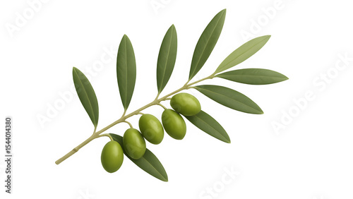 Olive Branch Isolated on Transparent Background (Peace, Nature, Symbol, Leaves, Twig, Green, Sprig, Foliage, Plant, Harmony, PNG)
