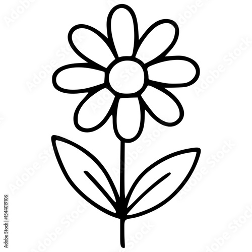 Daisy Flower