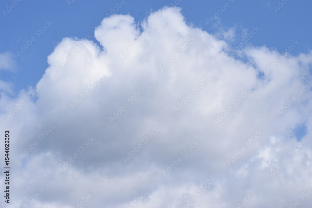 Fototapeta premium blue sky with white clouds