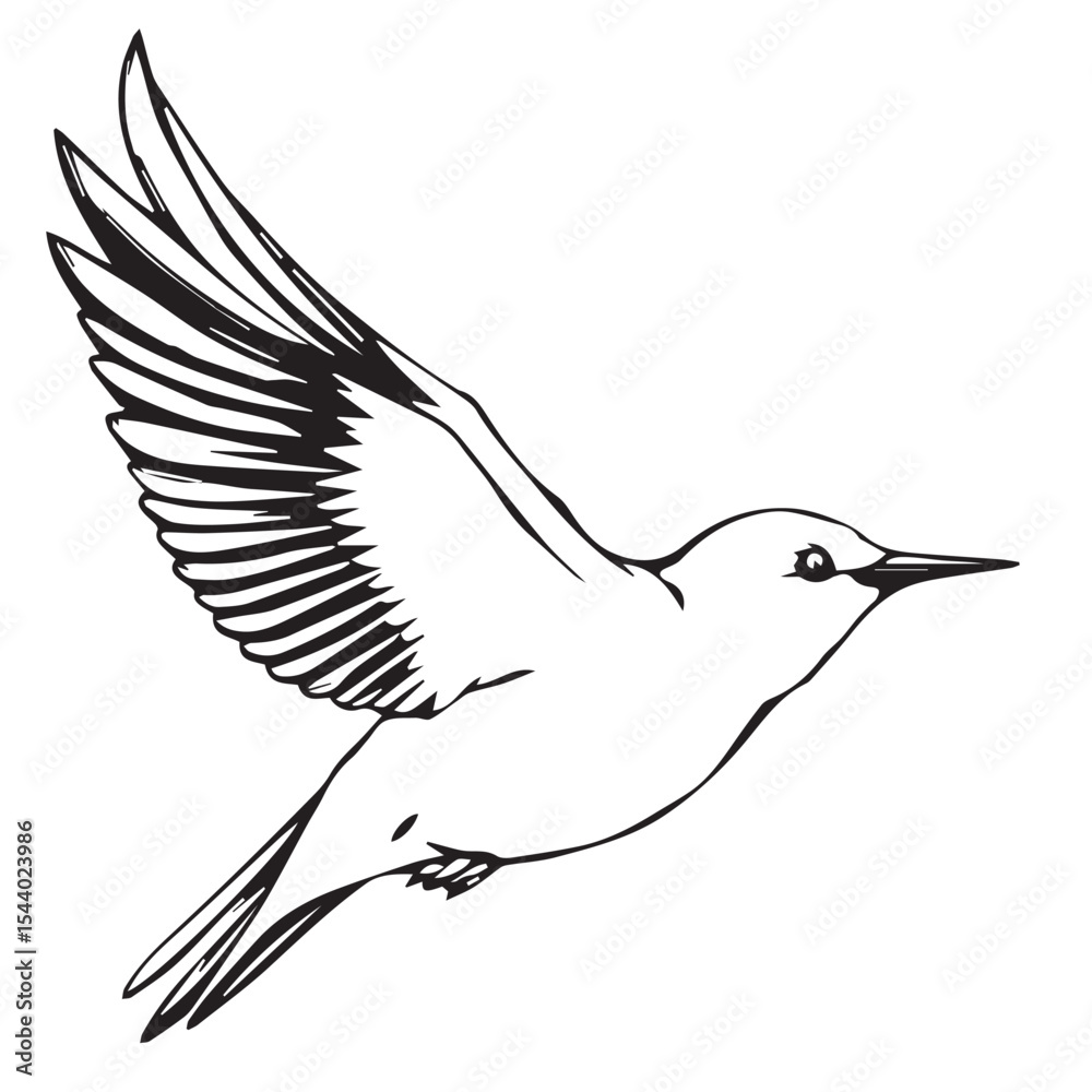 Fototapeta premium Elegant Bird in Flight A Simple Black and White Line Drawing