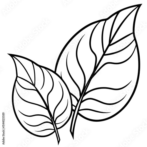 Sunshine Leaves Illustration