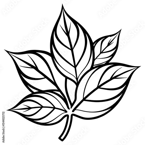 Sunshine Leaves Illustration