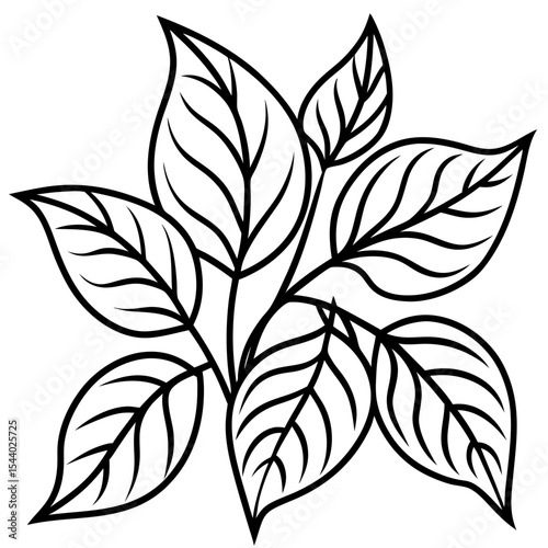 Sunshine Leaves Illustration
