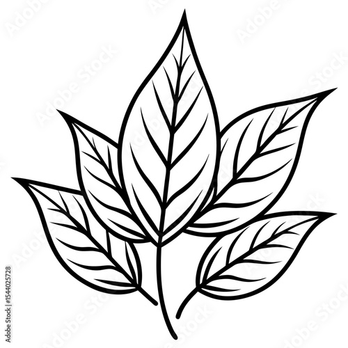 Sunshine Leaves Illustration