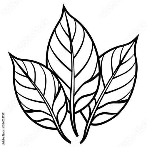 Sunshine Leaves Illustration