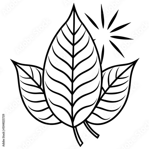 Sunshine Leaves Illustration
