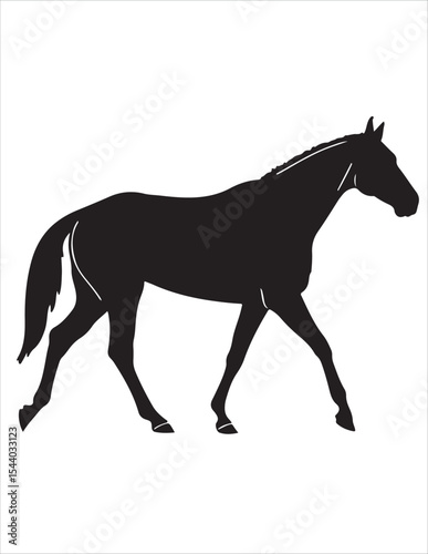 Elegant Horse Silhouette Vector – Black and White Stallion Illustrations, Equestrian Clipart & Galloping Horse Graphics