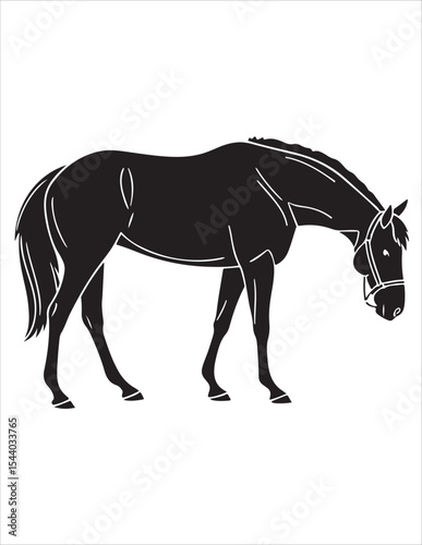 Elegant Horse Silhouette Vector – Black and White Stallion Illustrations, Equestrian Clipart & Galloping Horse Graphics