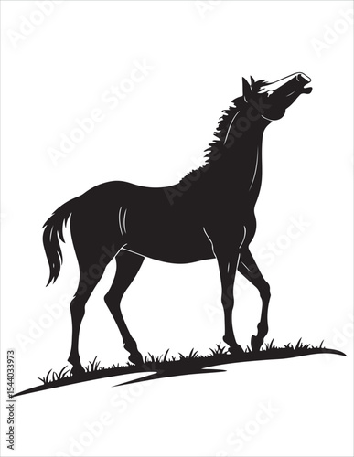 Elegant Horse Silhouette Vector – Black and White Stallion Illustrations, Equestrian Clipart & Galloping Horse Graphics