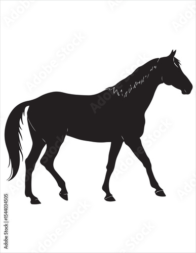 Elegant Horse Silhouette Vector – Black and White Stallion Illustrations, Equestrian Clipart & Galloping Horse Graphics