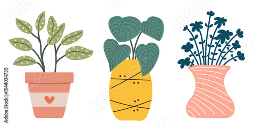 Set of potted plants. Interior pots with flowers and plants.