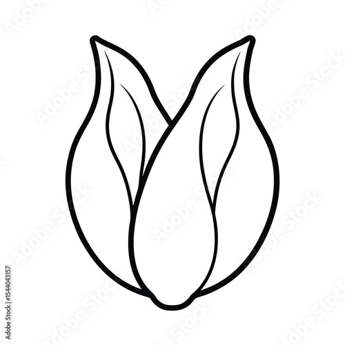 bok choy leaves fanned out in smooth line drawing Vector illustration