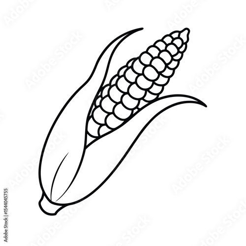 close up corn kernel in detailed line drawing Vector illustration