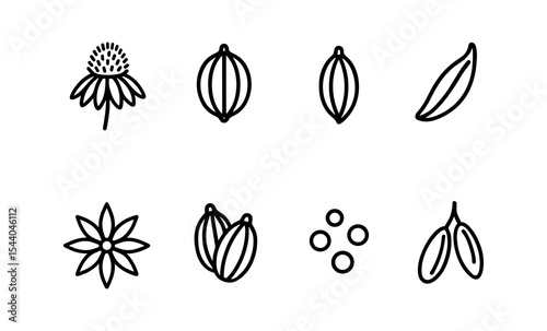 Minimalist spice and herb icons - echinacea, cardamom, bay leaf, star anise, nigella sativa