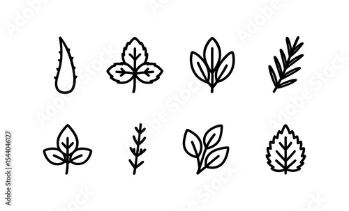 Collection of eight hand-drawn herb and leaf illustrations
