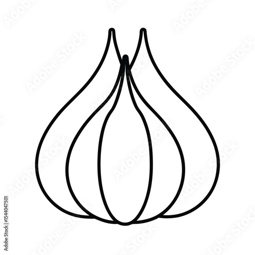 separated garlic cloves in clean line artwork Vector illustration
