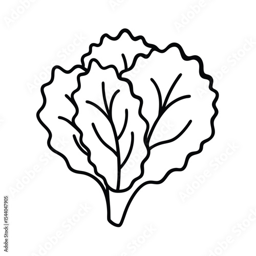 rough kale leaf outlines in organic sketch art Vector illustration
