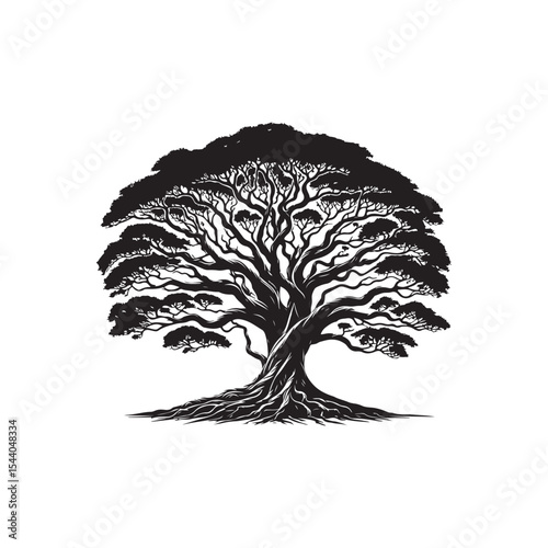Banyan tree Vector (2).eps