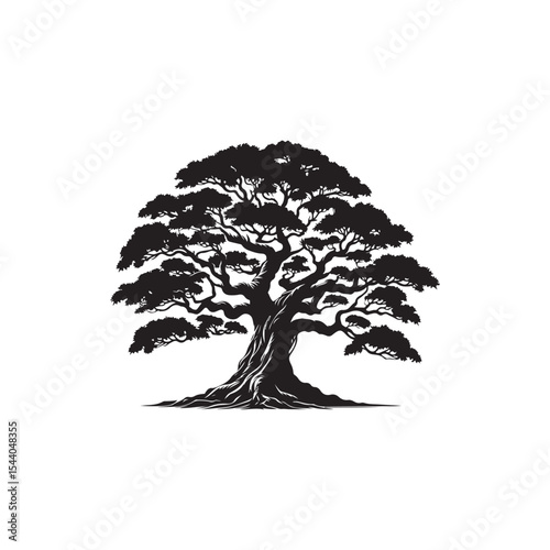 Banyan tree Vector (4).eps