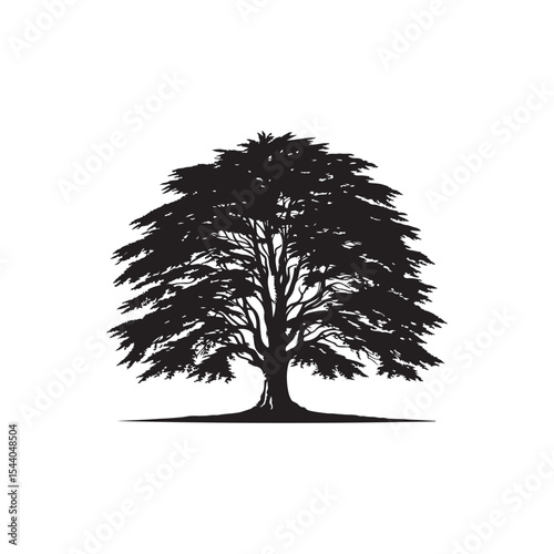 Beech tree Vector (4).eps
