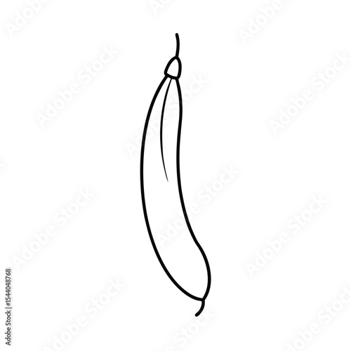 pea pod hanging on stem in tall line drawing Vector illustration