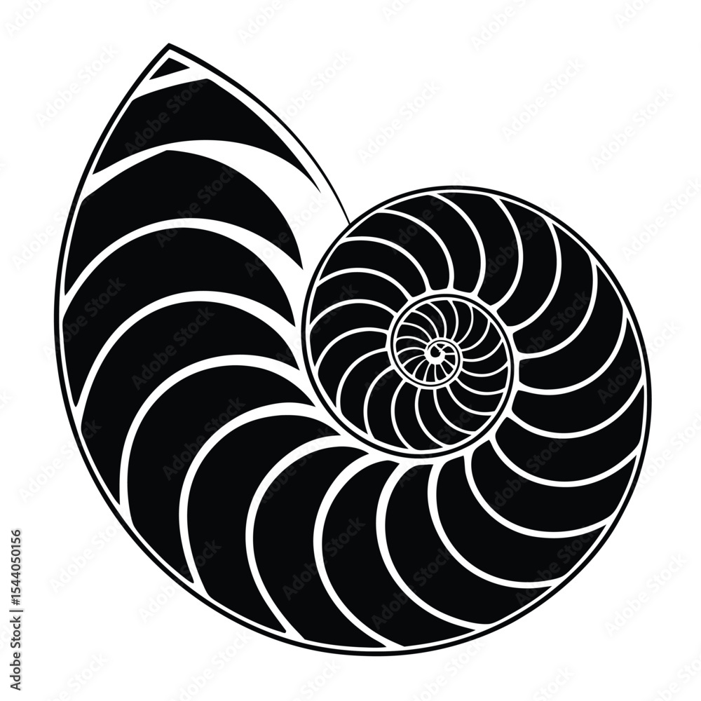 Obraz premium Nautilus Shell A Stunning Spiral of Nature's Geometry and Divine Proportion