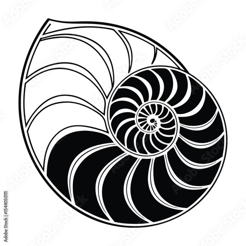 Nautilus Shell A Stunning Black and White Illustration of Nature's Perfect Spiral