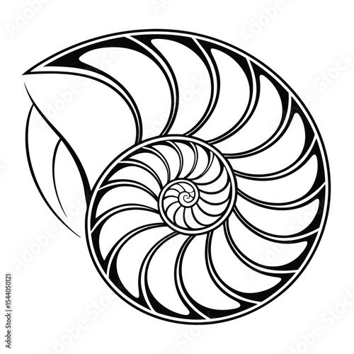 Nautilus Shell A Stunning Illustration of Spirals, Geometry, and Nature's Perfect Design