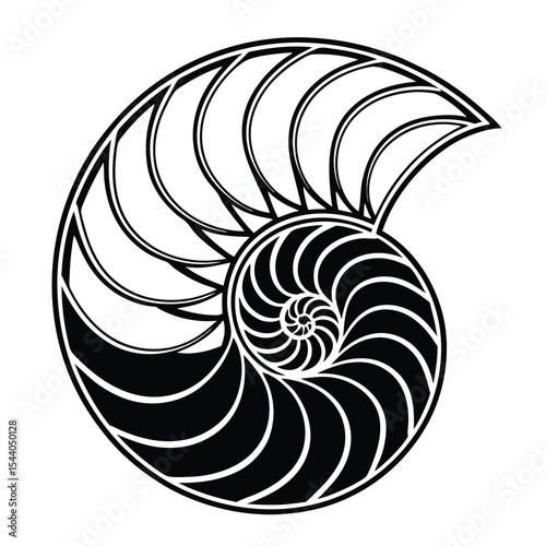 Nautilus Shell Geometric Spiral, Fibonacci Sequence, Sacred Geometry, Nature's Mathematical Beauty