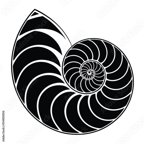 Nautilus Shell A Stunning Spiral of Nature's Geometry and Divine Proportion