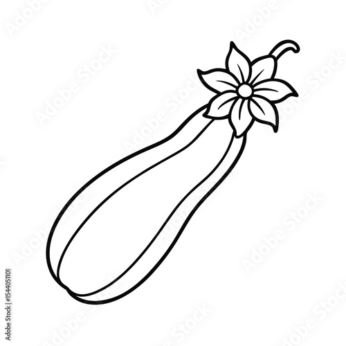 zucchini with blooming flower in floral sketch Vector illustration