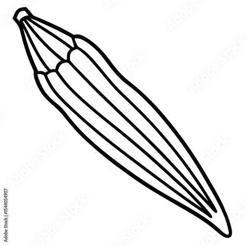 Clean Okra Vector Design