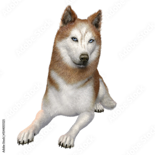 Wallpaper Mural 3D rendered fantasy husky dog isolated on transparent background Torontodigital.ca