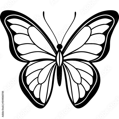 Minimal Glasswing Butterfly Illustration