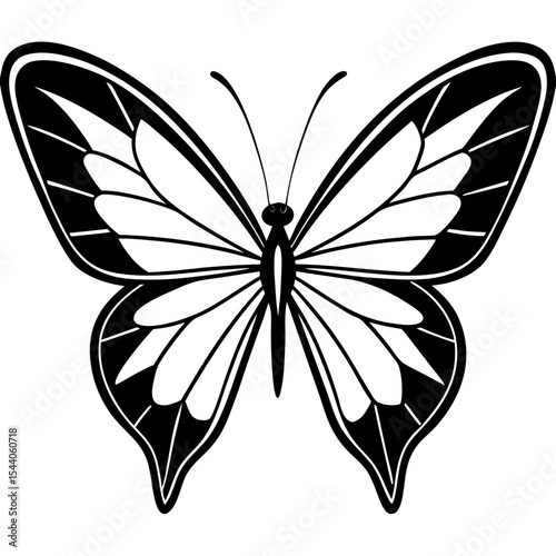 Minimal Glasswing Butterfly Illustration