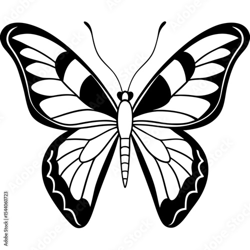 Minimal Glasswing Butterfly Illustration