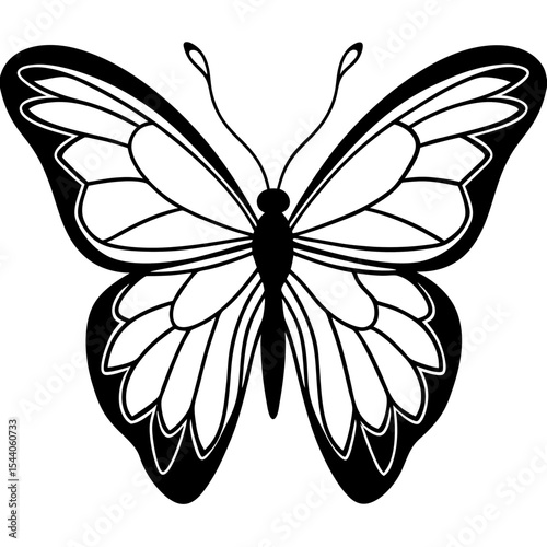 Minimal Glasswing Butterfly Illustration