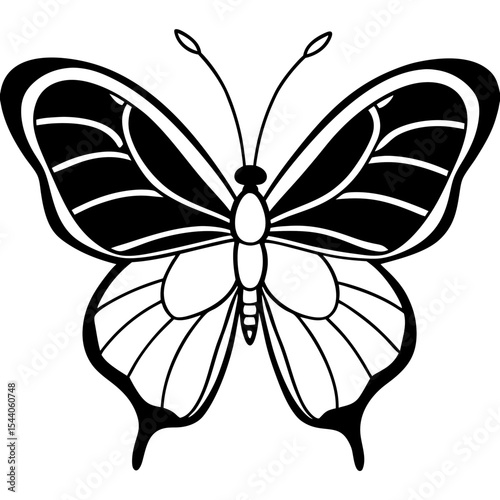 Minimal Glasswing Butterfly Illustration