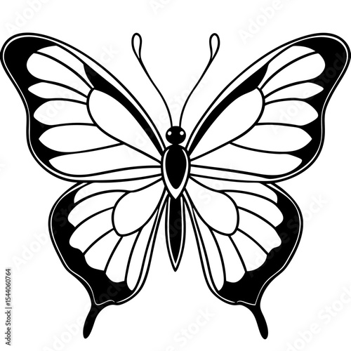 Minimal Glasswing Butterfly Illustration