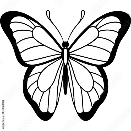 Minimal Glasswing Butterfly Illustration