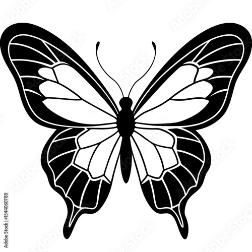 Minimal Glasswing Butterfly Illustration