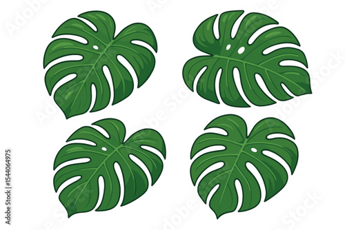 Lush Monstera Tropical Leaves Collection Isolated on White. Exotic Jungle Plant Foliage. Decorative Botanical Clipart for Print, Pattern, Invitation, Summer Design. Cartoon Vector Illustration