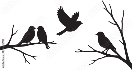Silhouette Serenade A Symphony of Birds on Bare Branches in Monochrome Harmony, A Peaceful Wildlife Scene