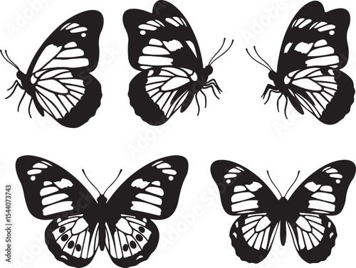 Monochrome Butterfly Collection Delicate Wing Patterns and Stylized Shapes Presenting a Study in Contrasting Designs and Serene Beauty