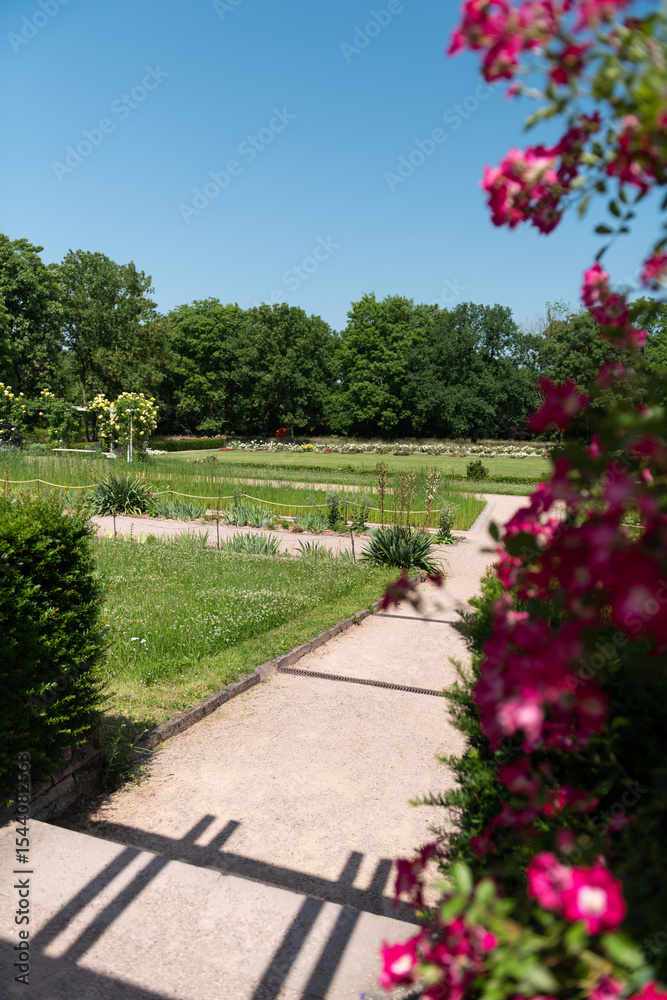 Fototapeta premium path in the park