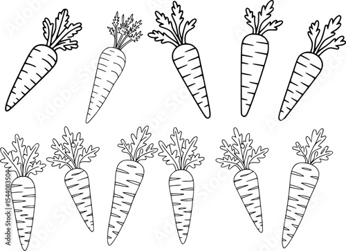 Black and white illustration of several carrots