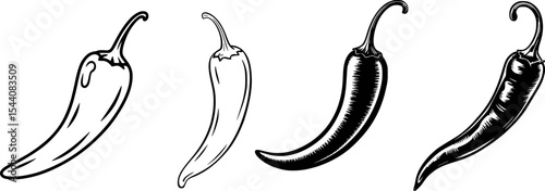 Black and white chili pepper vector illustration