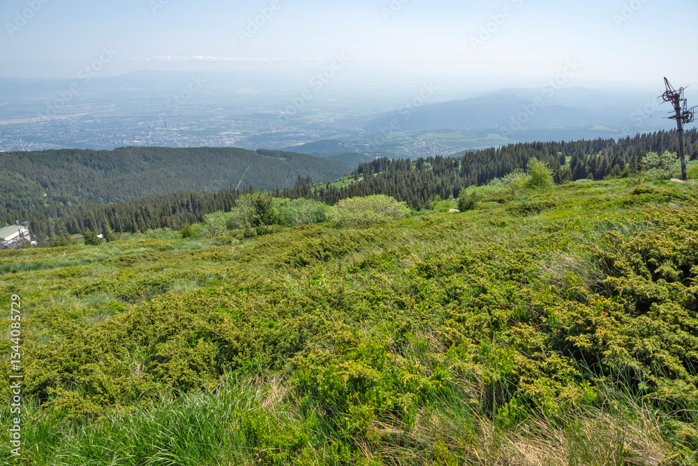 Fototapeta premium Spring Panorama of Vitosha Mountain, Bulgaria