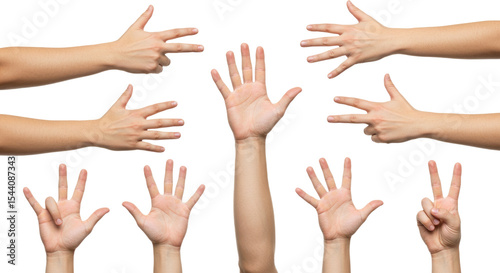 Human Hands Displaying Various Gestures on White Background.